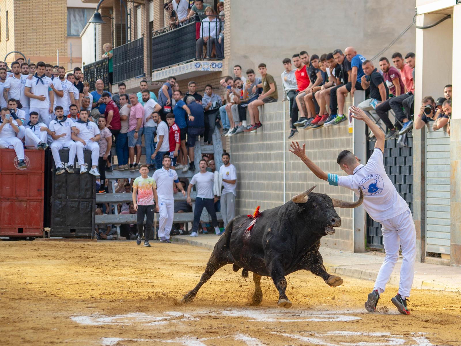 Acte de bous al carrer amb públic als laterals